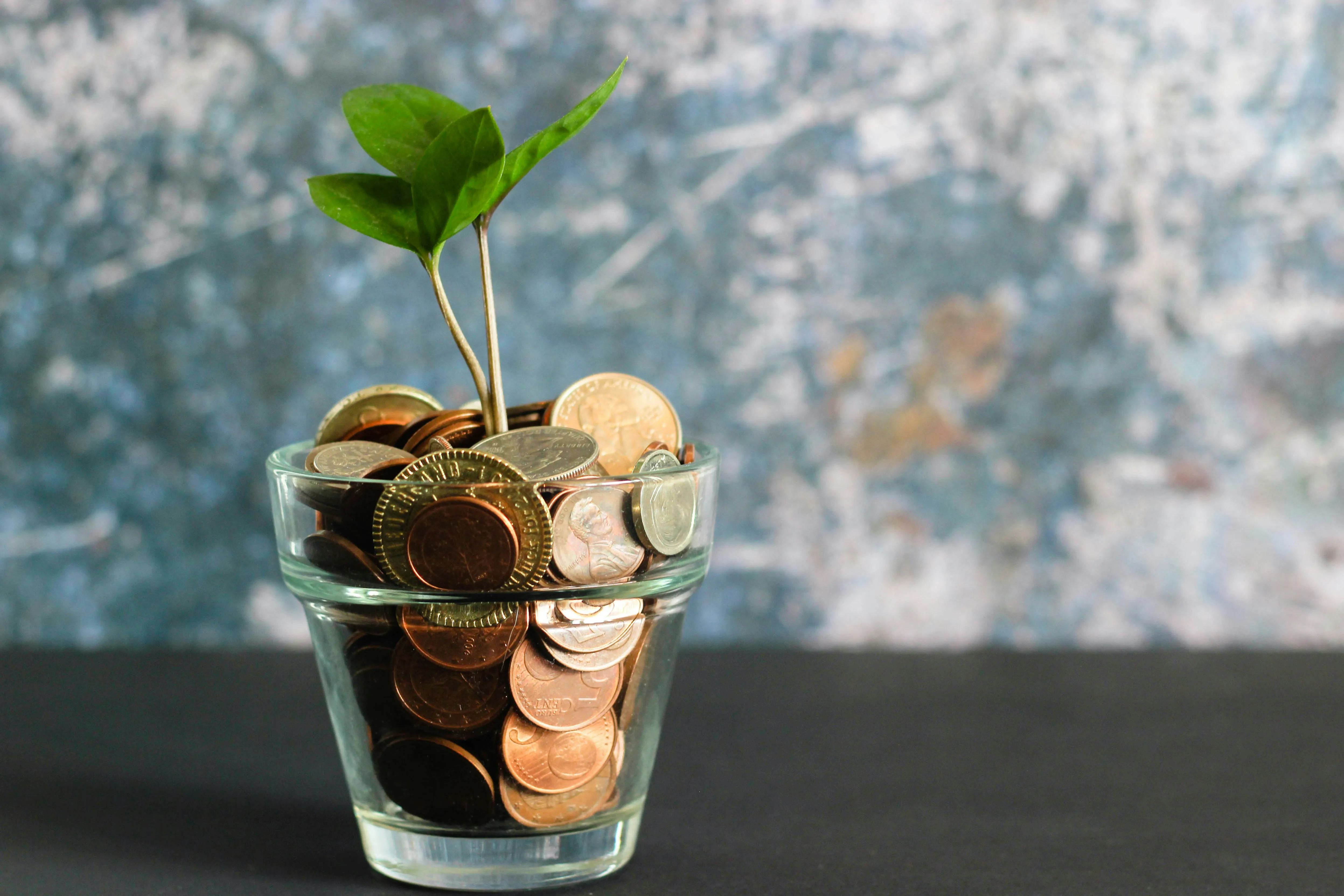 Plant with coins